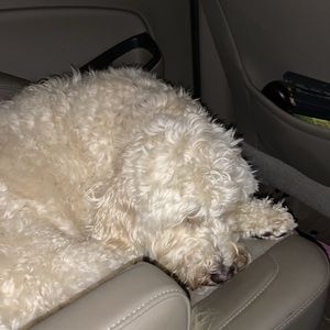 Meet your Posher, Lillian